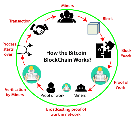 How Does The Bitcoin Mining Process Work At Joshua Castro Blog