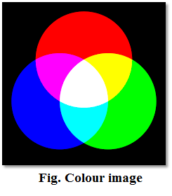 Types of Images