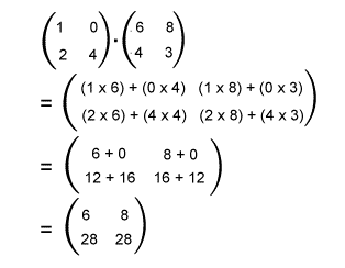 Matrix Multiplication in Discrete mathematics