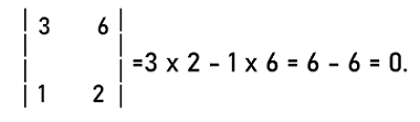 Singular matrix in Discrete mathematics