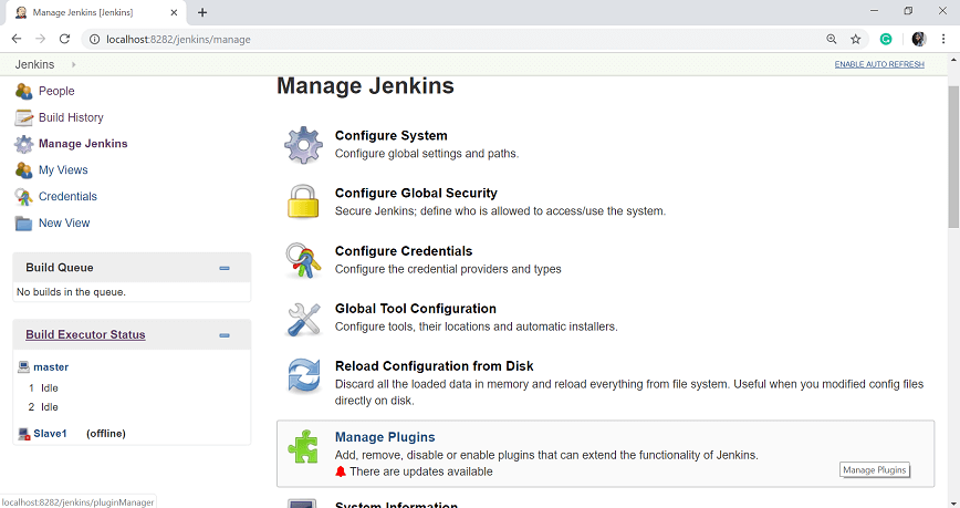 Jenkins Managing Plugins