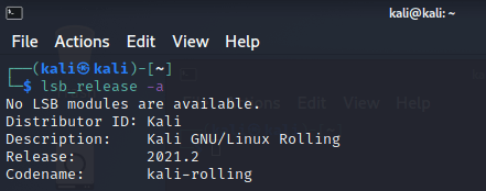 How to Check Kali Linux Version