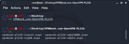 How to install VPNbook on Kali Linux?