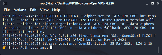 How to install VPNbook on Kali Linux?