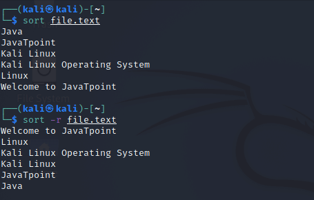 Kali Linux Basic Commands
