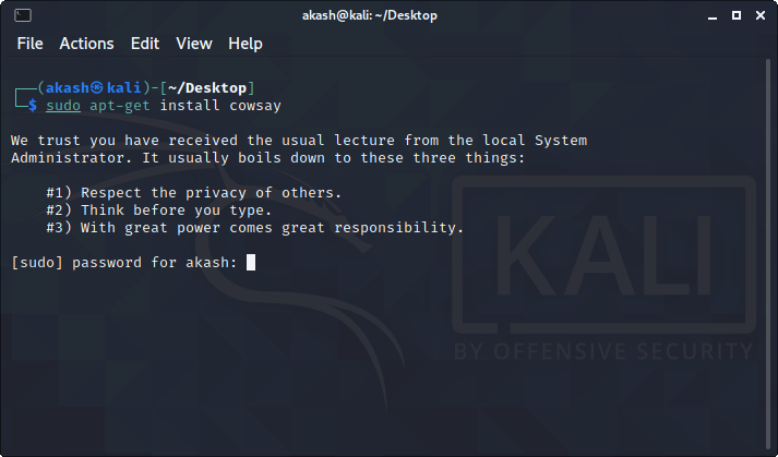 Kali Linux - Terminal