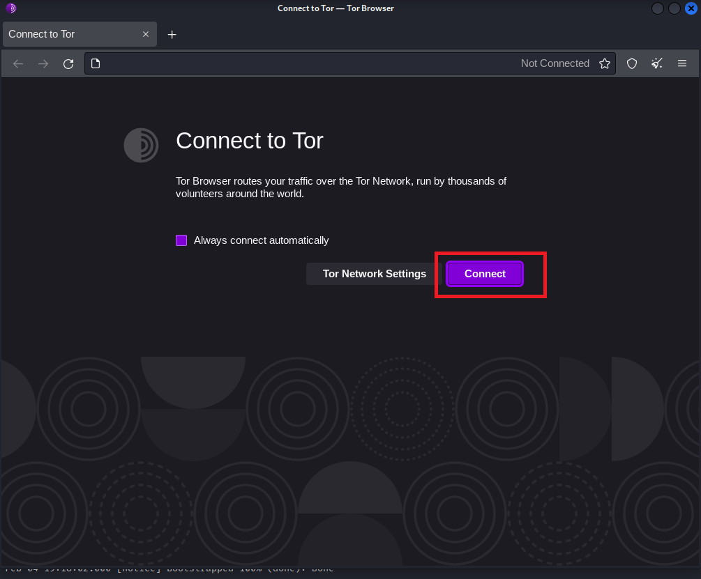 Tor Browser Kali Linux