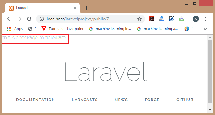 Laravel Middleware