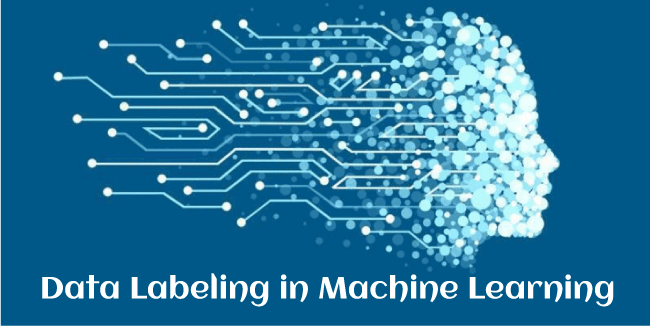 Data Labelling in Machine Learning