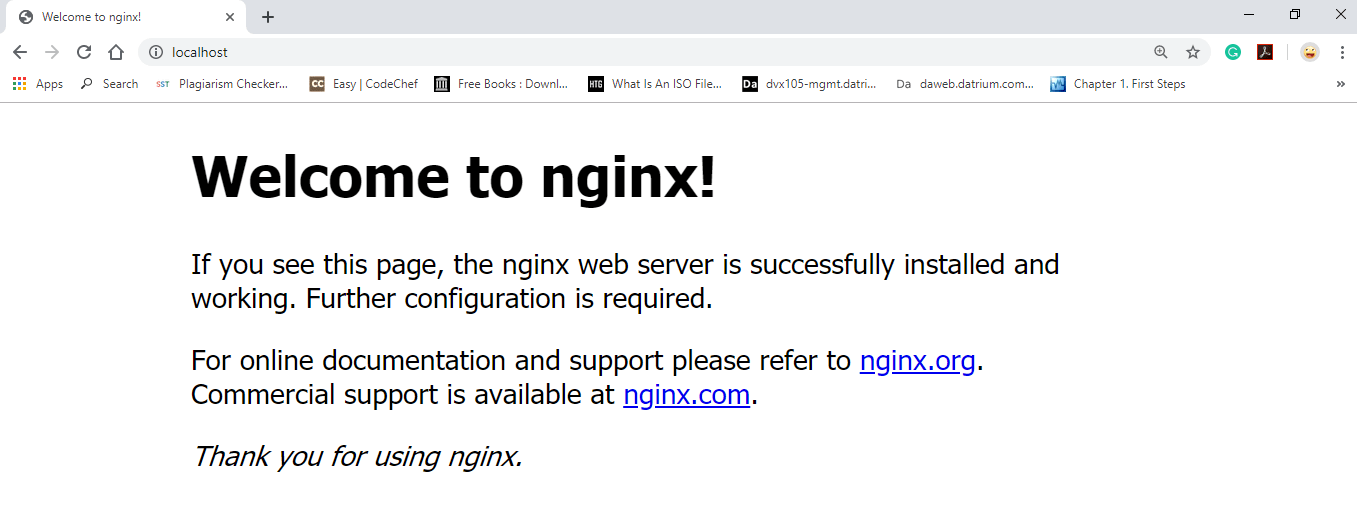 Installing NGINX on Windows
