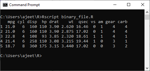 R Binary File