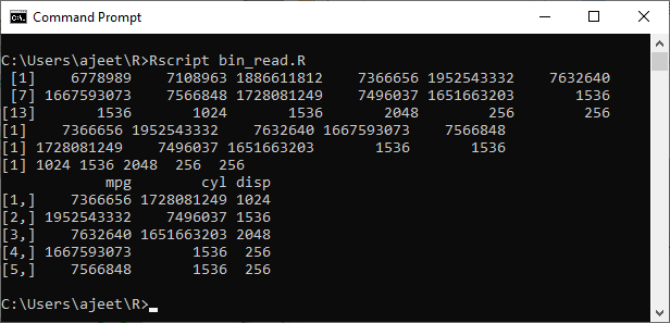 R Binary File Javatpoint