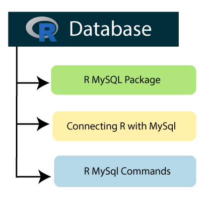 R Database