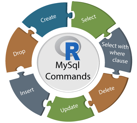 R Database