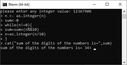 R While Loop