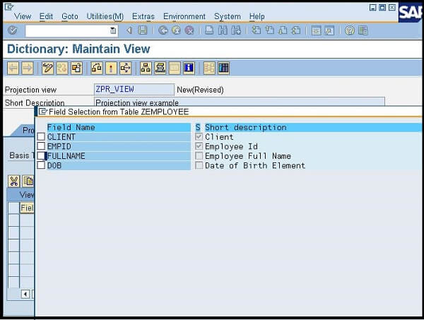 ABAP Projection View