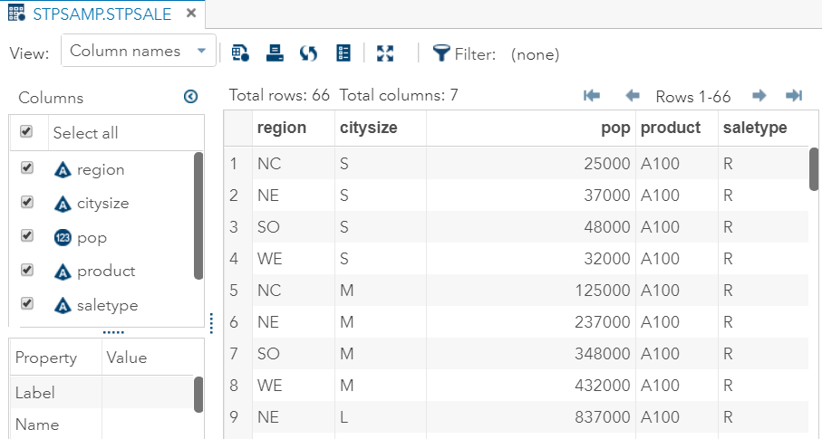 SAS Data Set