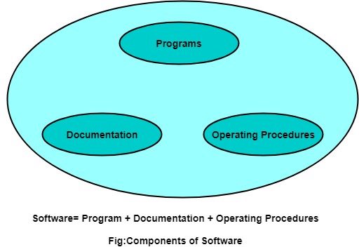 Program vs. Software