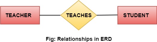 Entity-Relationship Diagrams