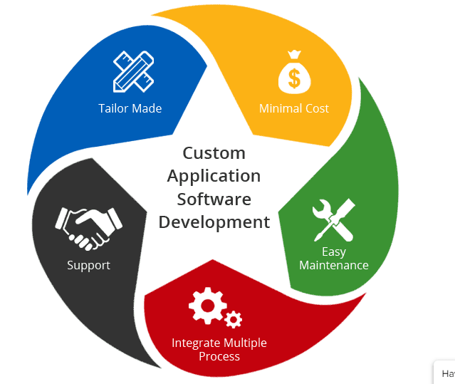 What is Custom Software