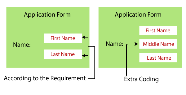 Bug in Software Testing