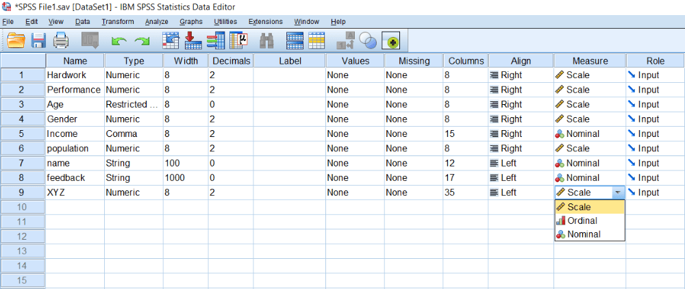 Scale of Measurement in SPSS