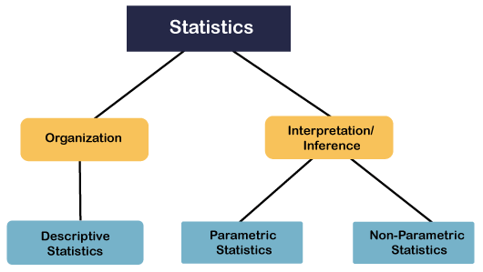 Statistics in SPSS