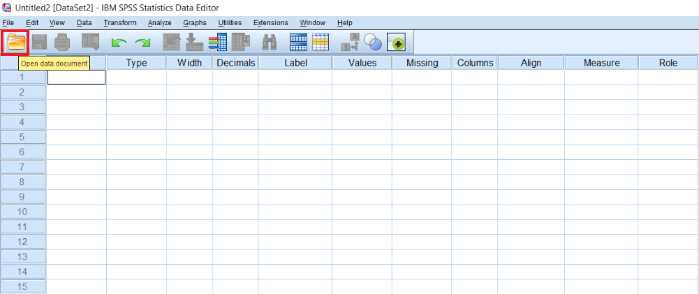 Types of Data Type in SPSS