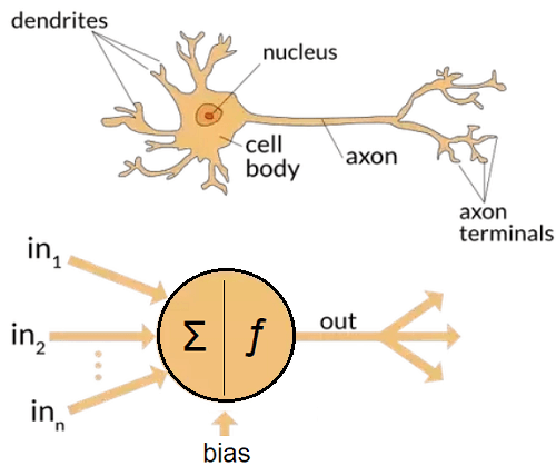 Classification of Neural Network in TensorFlow