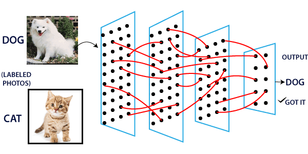 Single Layer Perceptron in TensorFlow